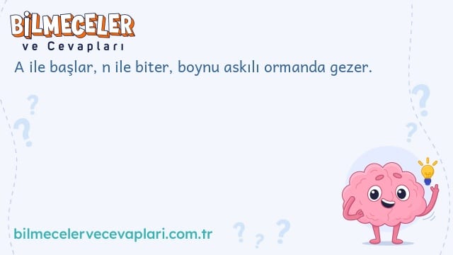 A ile başlar, n ile biter, boynu askılı ormanda gezer.