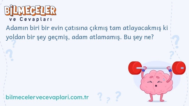 Adamın biri bir evin çatısına çıkmış tam atlayacakmış ki yoldan bir şey geçmiş, adam atlamamış. Bu şey ne?