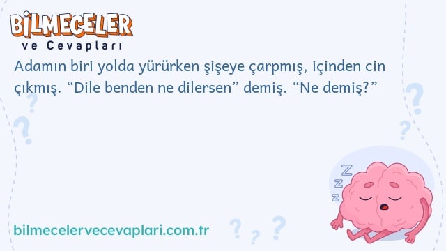 Adamın biri yolda yürürken şişeye çarpmış, içinden cin çıkmış. “Dile benden ne dilersen” demiş. “Ne demiş?”