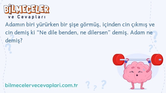 Adamın biri yürürken bir şişe görmüş, içinden cin çıkmış ve cin demiş ki “Ne dile benden, ne dilersen” demiş. Adam ne demiş?