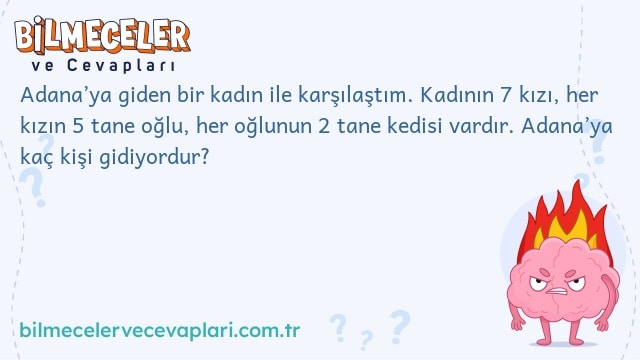 Adana’ya giden bir kadın ile karşılaştım. Kadının 7 kızı, her kızın 5 tane oğlu, her oğlunun 2 tane kedisi vardır. Adana’ya kaç kişi gidiyordur?