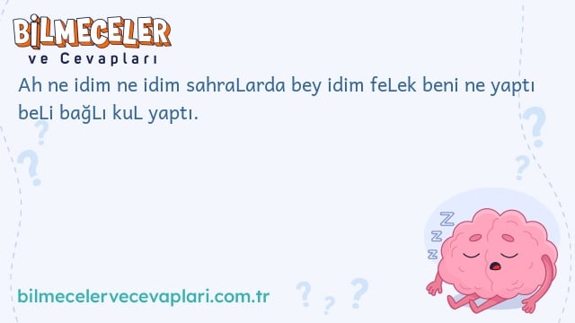 Ah ne idim ne idim sahraLarda bey idim feLek beni ne yaptı beLi bağLı kuL yaptı.