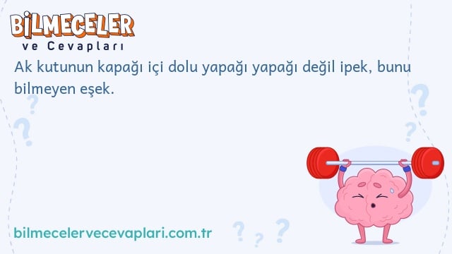 Ak kutunun kapağı içi dolu yapağı yapağı değil ipek, bunu bilmeyen eşek.