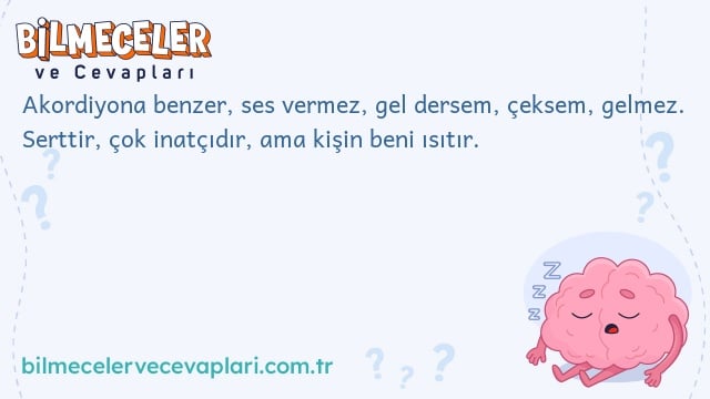 Akordiyona benzer, ses vermez, gel dersem, çeksem, gelmez. Serttir, çok inatçıdır, ama kişin beni ısıtır.