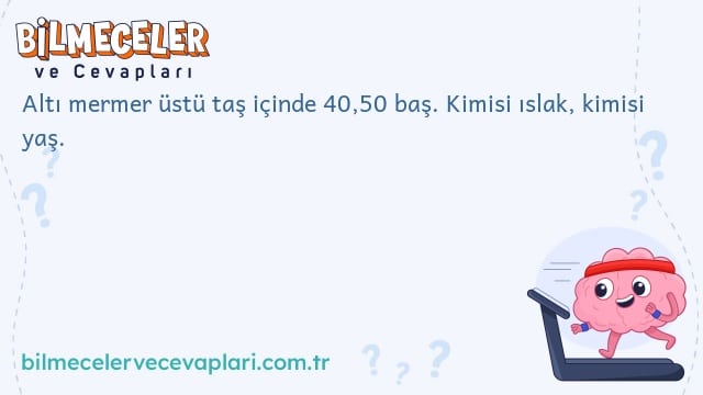 Altı mermer üstü taş içinde 40,50 baş. Kimisi ıslak, kimisi yaş.