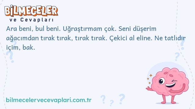 Ara beni, bul beni. Uğraştırmam çok. Seni düşerim ağacımdan tırak tırak, tırak tırak. Çekici al eline. Ne tatlıdır içim, bak.