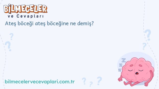 Ateş böceği ateş böceğine ne demiş?