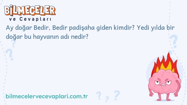 Ay doğar Bedir, Bedir padişaha giden kimdir? Yedi yılda bir doğar bu hayvanın adı nedir?