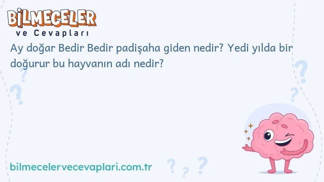 Ay doğar Bedir Bedir padişaha giden nedir? Yedi yılda bir doğurur bu hayvanın adı nedir?