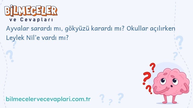 Ayvalar sarardı mı, gökyüzü karardı mı? Okullar açılırken Leylek Nil’e vardı mı?