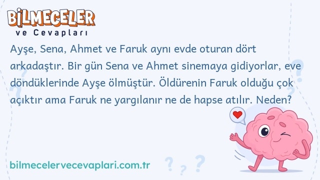 Ayşe, Sena, Ahmet ve Faruk aynı evde oturan dört arkadaştır. Bir gün Sena ve Ahmet sinemaya gidiyorlar, eve döndüklerinde Ayşe ölmüştür. Öldürenin Faruk olduğu çok açıktır ama Faruk ne yargılanır ne de hapse atılır. Neden?