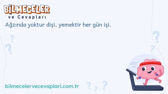 Ağzında yoktur dişi, yemektir her gün işi.