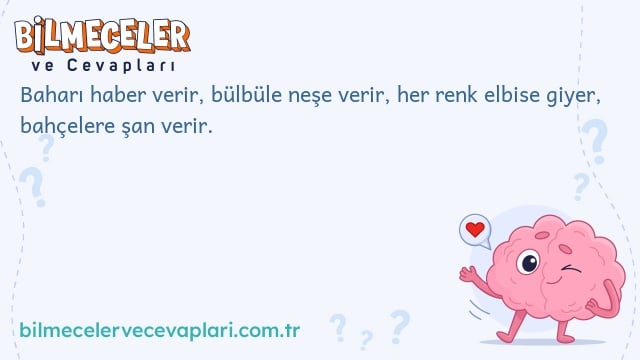 Baharı haber verir, bülbüle neşe verir, her renk elbise giyer, bahçelere şan verir.