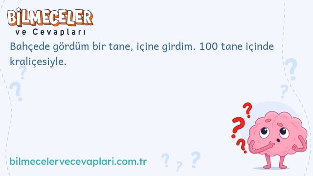 Bahçede gördüm bir tane, içine girdim. 100 tane içinde kraliçesiyle.