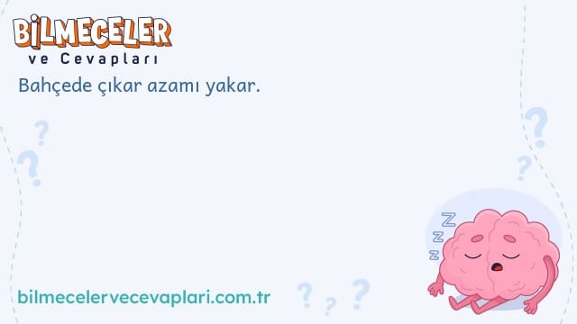 Bahçede çıkar azamı yakar.