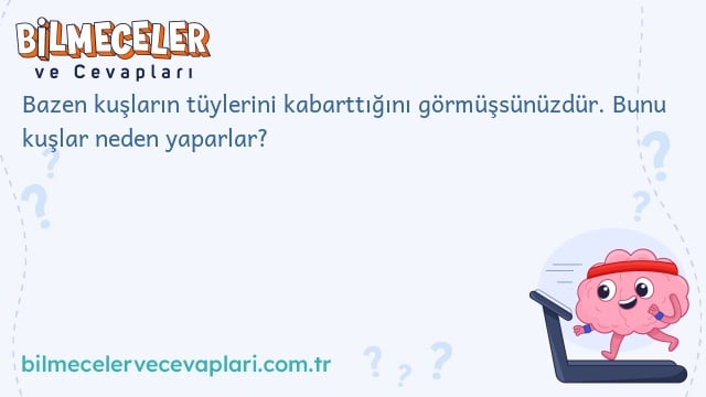 Bazen kuşların tüylerini kabarttığını görmüşsünüzdür. Bunu kuşlar neden yaparlar?