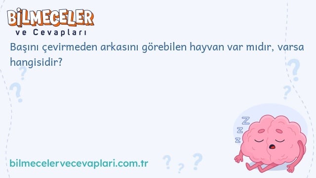 Başını çevirmeden arkasını görebilen hayvan var mıdır, varsa hangisidir?