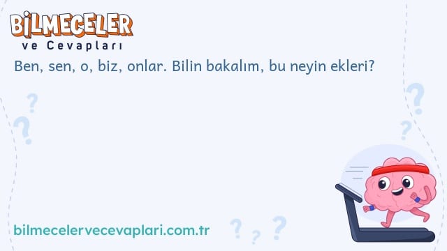 Ben, sen, o, biz, onlar. Bilin bakalım, bu neyin ekleri?