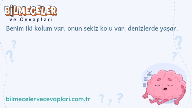 Benim iki kolum var, onun sekiz kolu var, denizlerde yaşar.