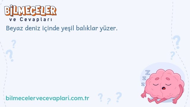 Beyaz deniz içinde yeşil balıklar yüzer.