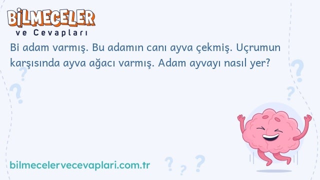 Bi adam varmış. Bu adamın canı ayva çekmiş. Uçrumun karşısında ayva ağacı varmış. Adam ayvayı nasıl yer?