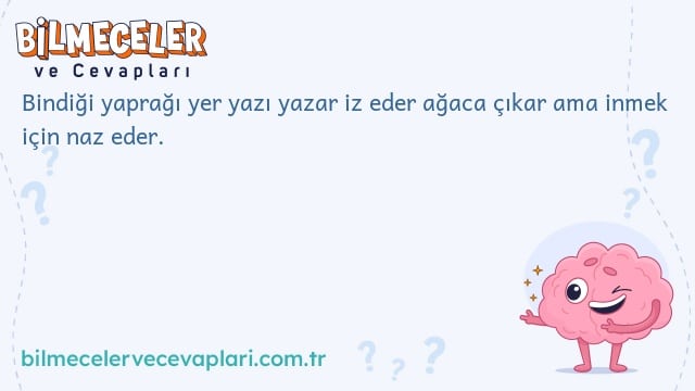 Bindiği yaprağı yer yazı yazar iz eder ağaca çıkar ama inmek için naz eder.