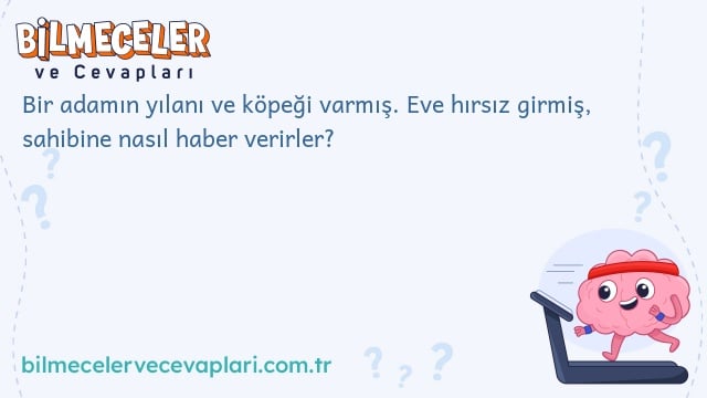 Bir adamın yılanı ve köpeği varmış. Eve hırsız girmiş, sahibine nasıl haber verirler?