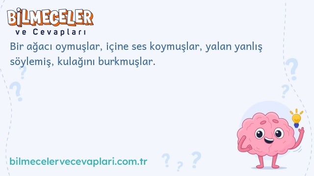 Bir ağacı oymuşlar, içine ses koymuşlar, yalan yanlış söylemiş, kulağını burkmuşlar.