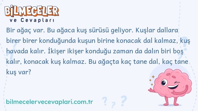 Bir ağaç var. Bu ağaca kuş sürüsü geliyor. Kuşlar dallara birer birer konduğunda kuşun birine konacak dal kalmaz, kuş havada kalır. İkişer ikişer konduğu zaman da dalın biri boş kalır, konacak kuş kalmaz. Bu ağaçta kaç tane dal, kaç tane kuş var?