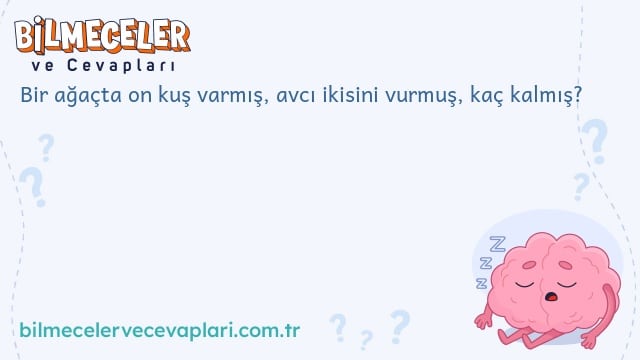 Bir ağaçta on kuş varmış, avcı ikisini vurmuş, kaç kalmış?