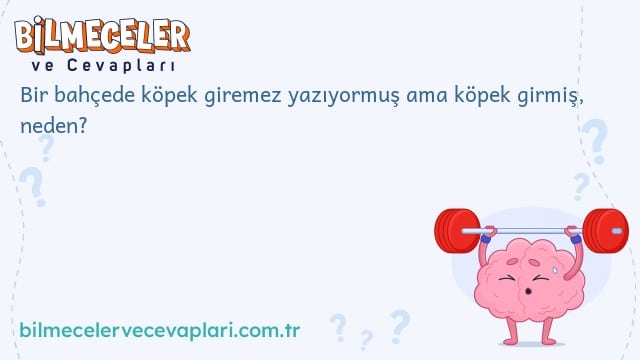 Bir bahçede köpek giremez yazıyormuş ama köpek girmiş, neden?