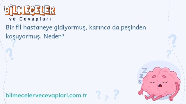 Bir fil hastaneye gidiyormuş, karınca da peşinden koşuyormuş. Neden?