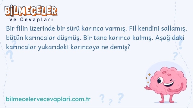 Bir filin üzerinde bir sürü karınca varmış. Fil kendini sallamış, bütün karıncalar düşmüş. Bir tane karınca kalmış. Aşağıdaki karıncalar yukarıdaki karıncaya ne demiş?