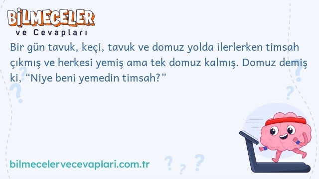 Bir gün tavuk, keçi, tavuk ve domuz yolda ilerlerken timsah çıkmış ve herkesi yemiş ama tek domuz kalmış. Domuz demiş ki, “Niye beni yemedin timsah?”