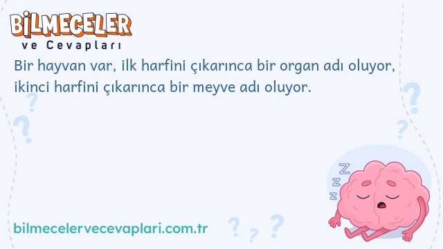 Bir hayvan var, ilk harfini çıkarınca bir organ adı oluyor, ikinci harfini çıkarınca bir meyve adı oluyor.