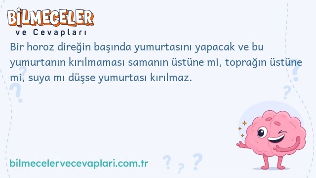 Bir horoz direğin başında yumurtasını yapacak ve bu yumurtanın kırılmaması samanın üstüne mi, toprağın üstüne mi, suya mı düşse yumurtası kırılmaz.