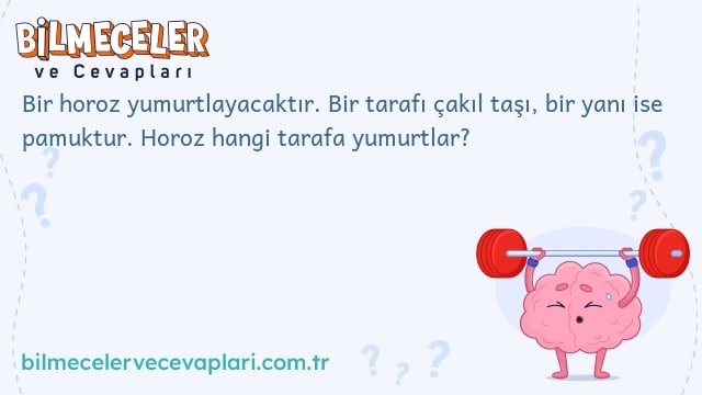 Bir horoz yumurtlayacaktır. Bir tarafı çakıl taşı, bir yanı ise pamuktur. Horoz hangi tarafa yumurtlar?