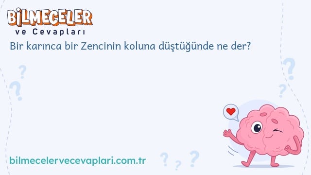 Bir karınca bir Zencinin koluna düştüğünde ne der?