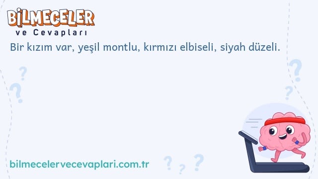 Bir kızım var, yeşil montlu, kırmızı elbiseli, siyah düzeli.