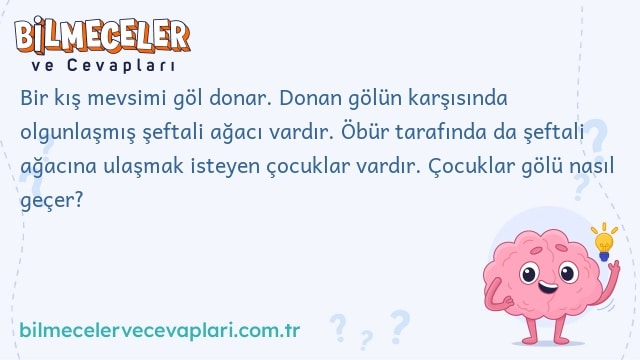 Bir kış mevsimi göl donar. Donan gölün karşısında olgunlaşmış şeftali ağacı vardır. Öbür tarafında da şeftali ağacına ulaşmak isteyen çocuklar vardır. Çocuklar gölü nasıl geçer?