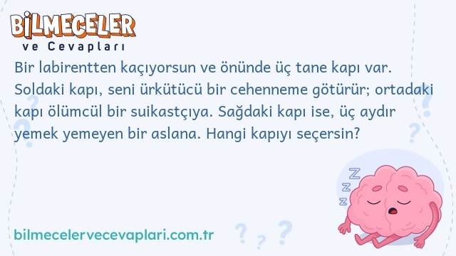 Bir labirentten kaçıyorsun ve önünde üç tane kapı var. Soldaki kapı, seni ürkütücü bir cehenneme götürür; ortadaki kapı ölümcül bir suikastçıya. Sağdaki kapı ise, üç aydır yemek yemeyen bir aslana. Hangi kapıyı seçersin?