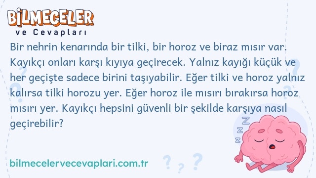 Bir nehrin kenarında bir tilki, bir horoz ve biraz mısır var. Kayıkçı onları karşı kıyıya geçirecek. Yalnız kayığı küçük ve her geçişte sadece birini taşıyabilir. Eğer tilki ve horoz yalnız kalırsa tilki horozu yer. Eğer horoz ile mısırı bırakırsa horoz mısırı yer. Kayıkçı hepsini güvenli bir şekilde karşıya nasıl geçirebilir?