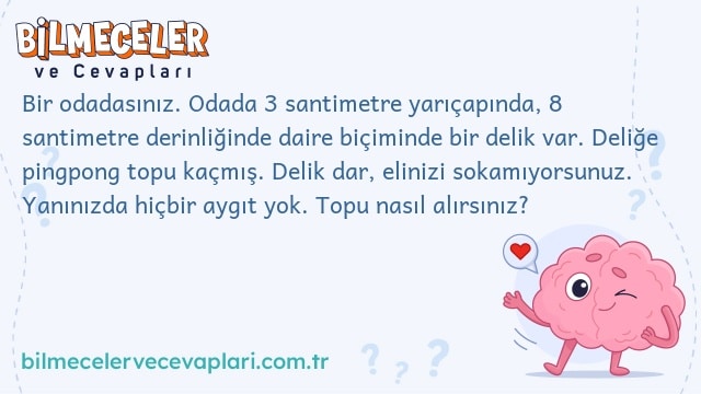 Bir odadasınız. Odada 3 santimetre yarıçapında, 8 santimetre derinliğinde daire biçiminde bir delik var. Deliğe pingpong topu kaçmış. Delik dar, elinizi sokamıyorsunuz. Yanınızda hiçbir aygıt yok. Topu nasıl alırsınız?