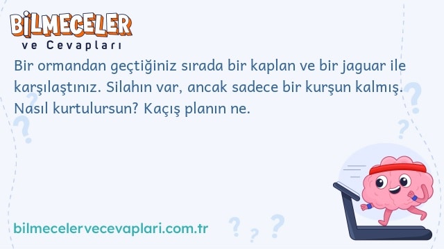 Bir ormandan geçtiğiniz sırada bir kaplan ve bir jaguar ile karşılaştınız. Silahın var, ancak sadece bir kurşun kalmış. Nasıl kurtulursun? Kaçış planın ne.