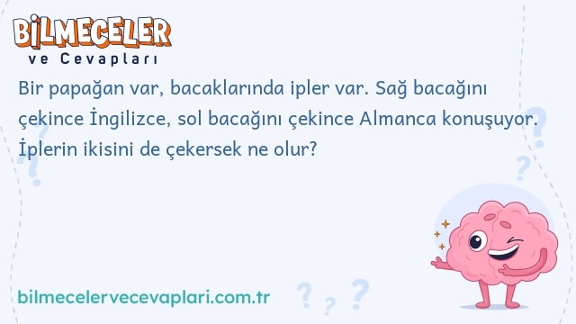 Bir papağan var, bacaklarında ipler var. Sağ bacağını çekince İngilizce, sol bacağını çekince Almanca konuşuyor. İplerin ikisini de çekersek ne olur?