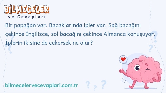 Bir papağan var. Bacaklarında ipler var. Sağ bacağını çekince İngilizce, sol bacağını çekince Almanca konuşuyor. İplerin ikisine de çekersek ne olur?