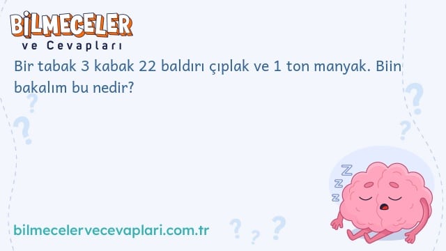 Bir tabak 3 kabak 22 baldırı çıplak ve 1 ton manyak. Biin bakalım bu nedir?