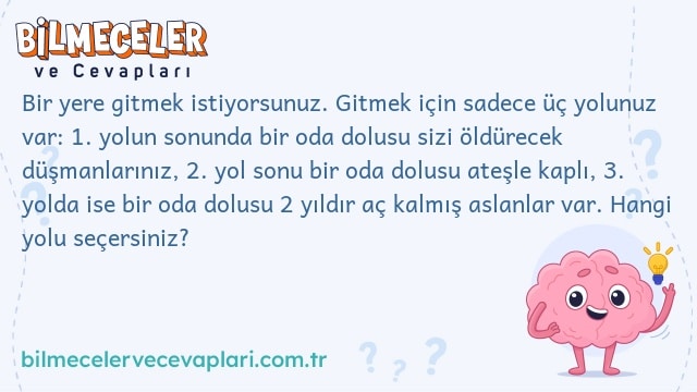 Bir yere gitmek istiyorsunuz. Gitmek için sadece üç yolunuz var: 1. yolun sonunda bir oda dolusu sizi öldürecek düşmanlarınız, 2. yol sonu bir oda dolusu ateşle kaplı, 3. yolda ise bir oda dolusu 2 yıldır aç kalmış aslanlar var. Hangi yolu seçersiniz?