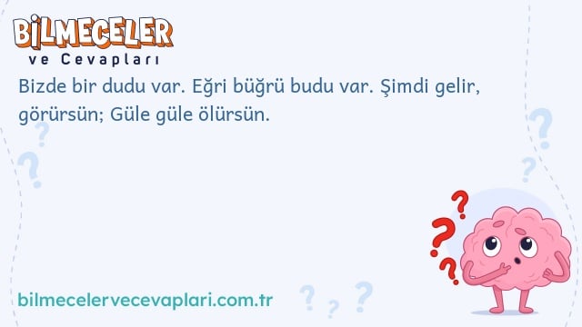 Bizde bir dudu var. Eğri büğrü budu var. Şimdi gelir, görürsün; Güle güle ölürsün.