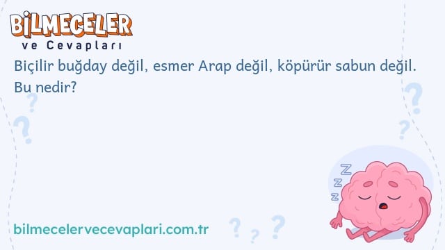 Biçilir buğday değil, esmer Arap değil, köpürür sabun değil. Bu nedir?